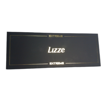 صورة ليزا مكواه